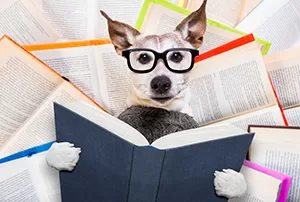 dog reading books