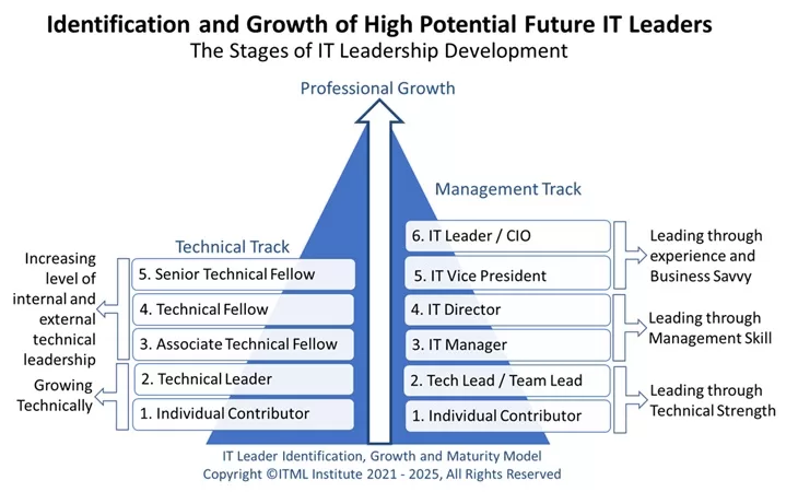 ITLeadershipMaturtyModel2